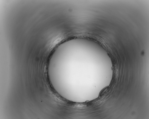 X0000094190619200710260956