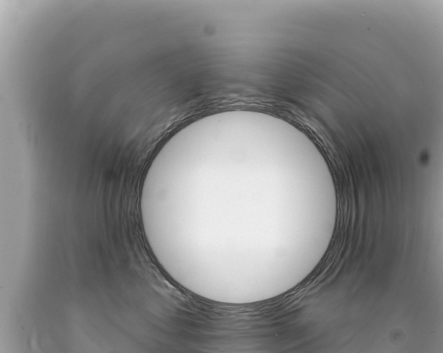 X0000094190621200710260956