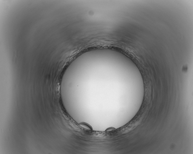 X0000094190624200710260956