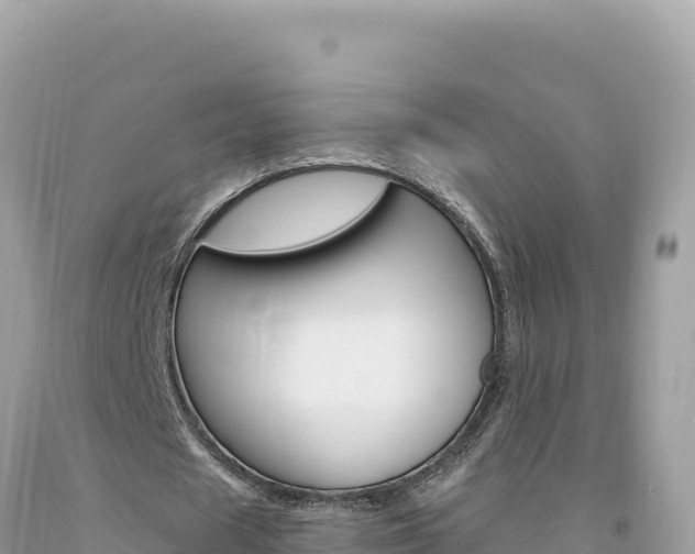 X0000094190625200710260955