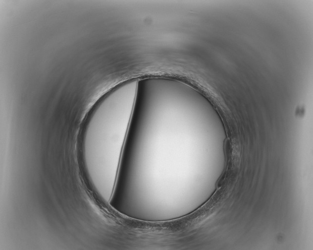 X0000094190626200710260955