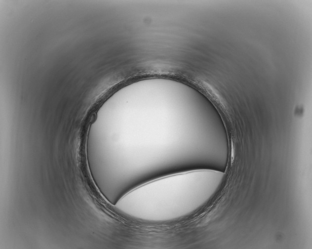X0000094190627200710260955