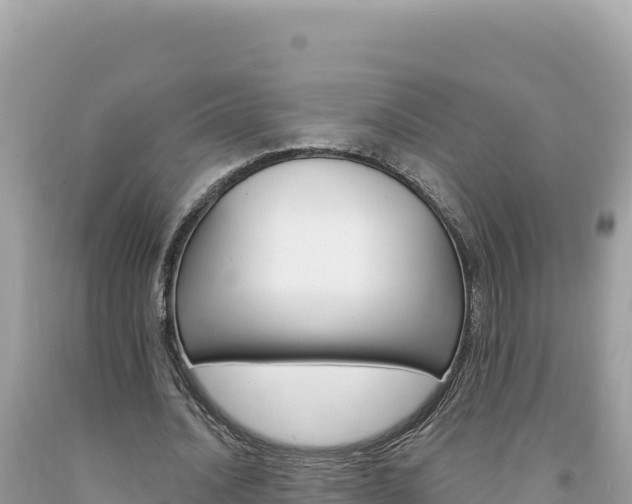 X0000094190628200710260955