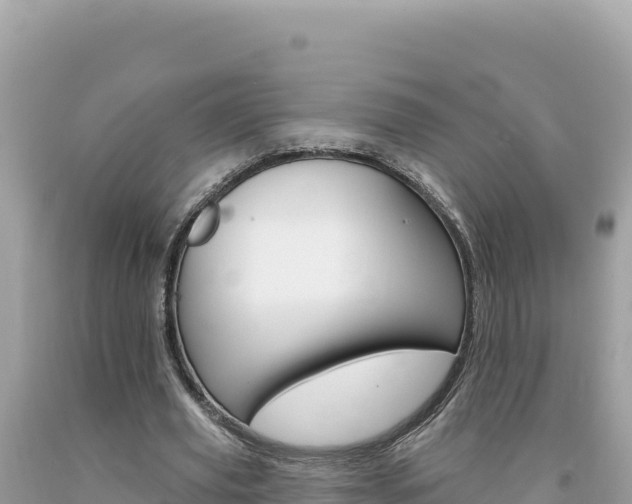 X0000094190629200710260955