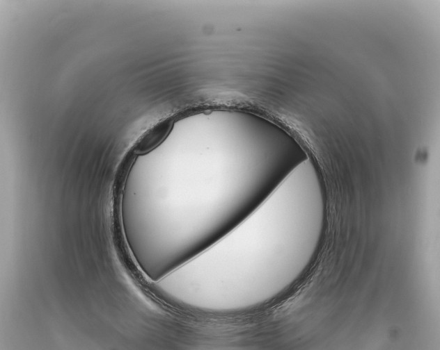 X0000094190630200710260955
