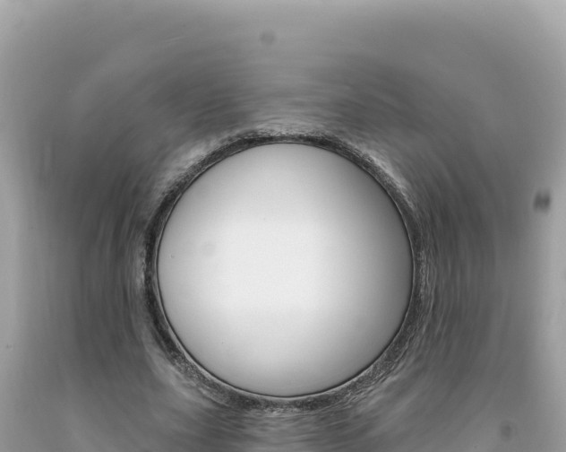 X0000094190631200710260955