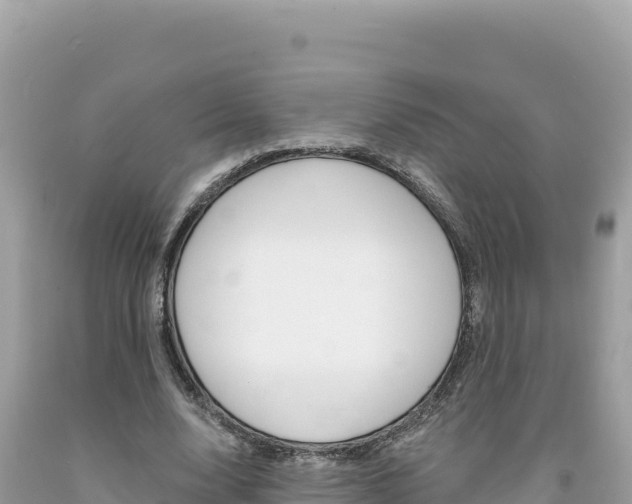 X0000094190632200710260955