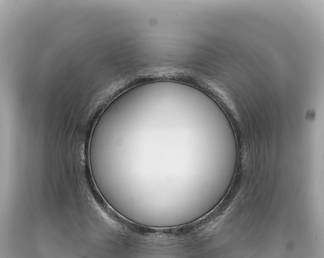 X0000094190633200710260955