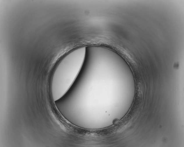 X0000094190634200710260955