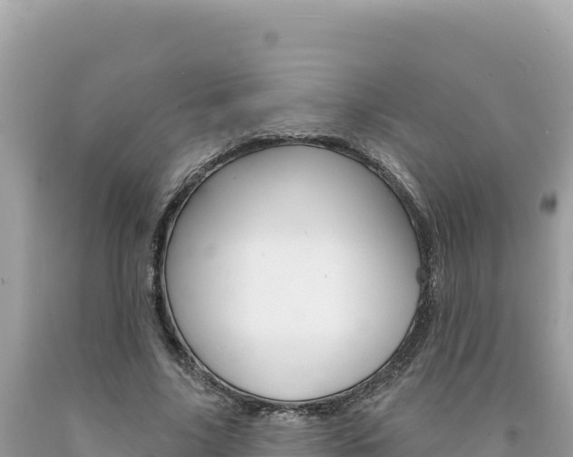 X0000094190635200710260955