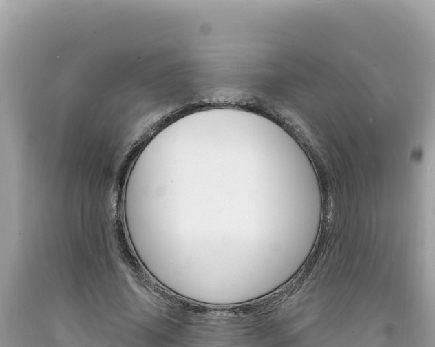 X0000094190636200710260955
