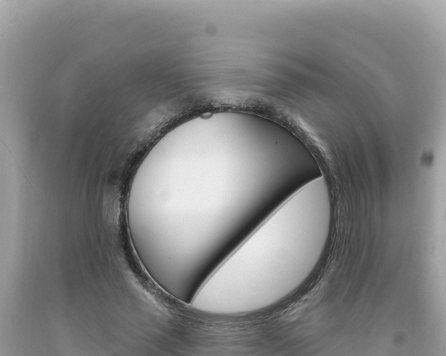 X0000094190637200710260955