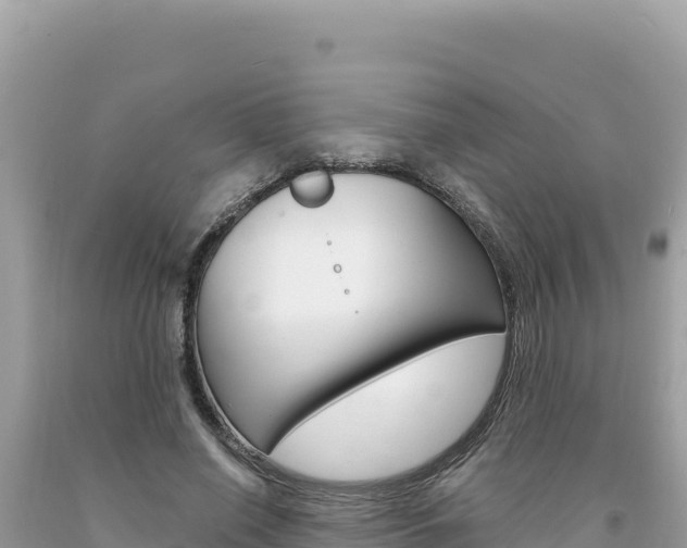 X0000094190638200710260955