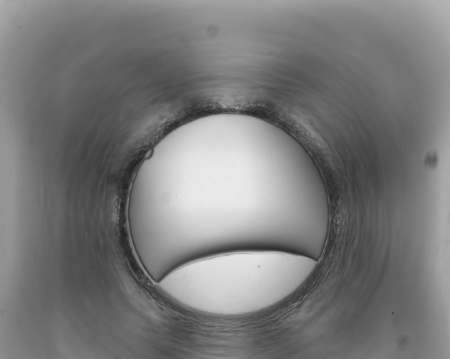 X0000094190639200710260955