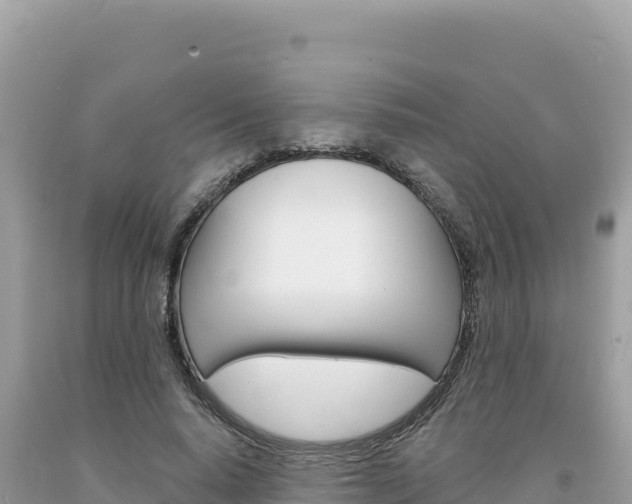 X0000094190640200710260955