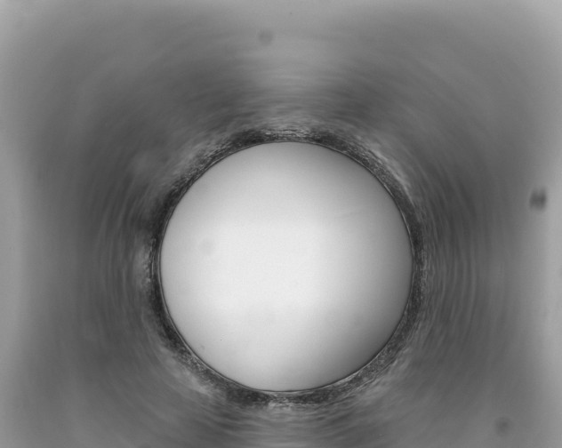 X0000094190641200710260955