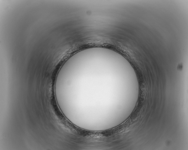 X0000094190642200710260955