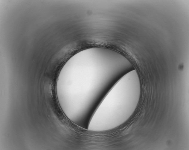 X0000094190643200710260955