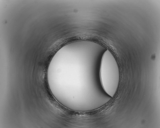 X0000094190645200710260955