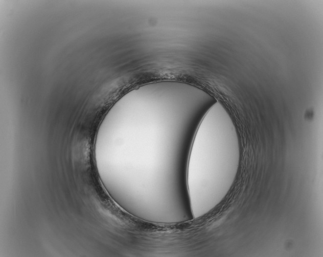 X0000094190646200710260955