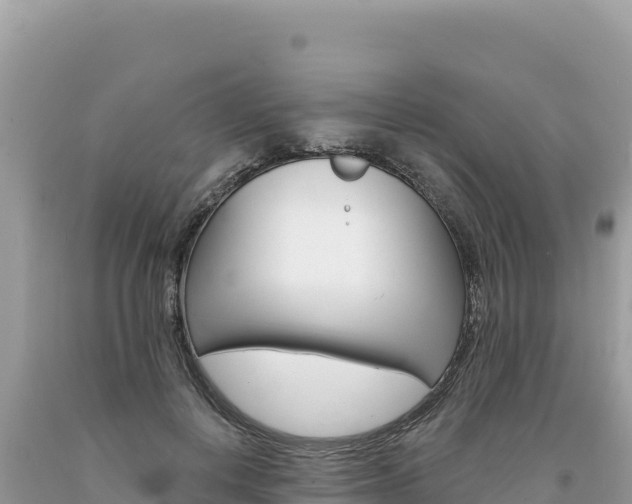 X0000094190648200710260955