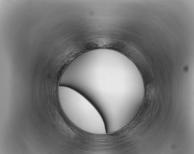 X0000094190650200710260955