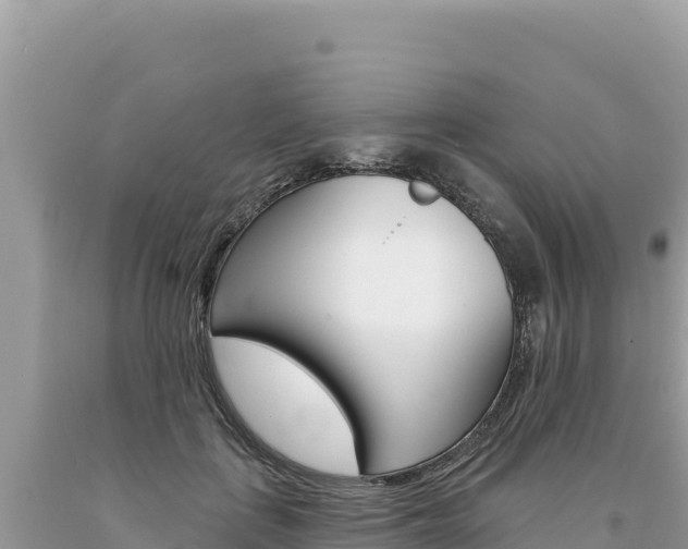 X0000094190651200710260955