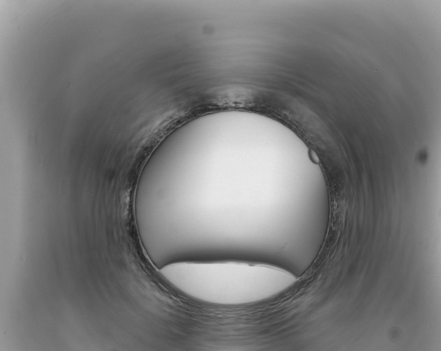 X0000094190652200710260955