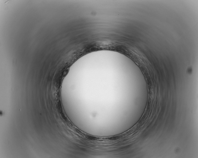X0000094190653200710260955