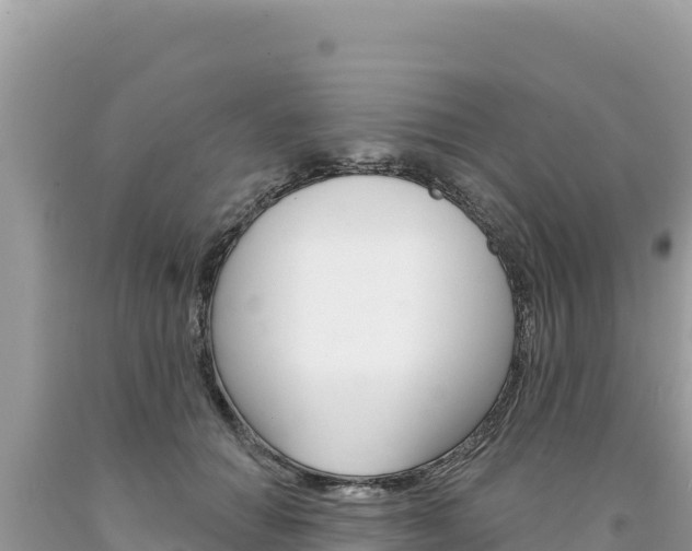 X0000094190654200710260955