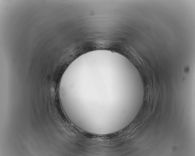 X0000094190655200710260955