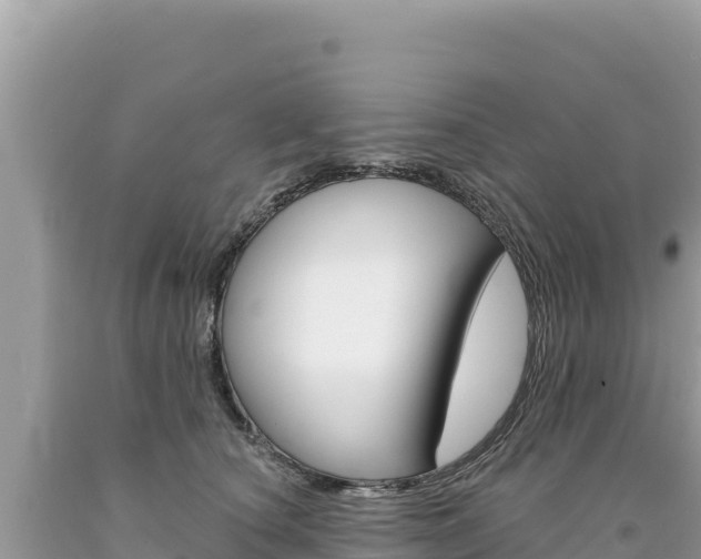 X0000094190660200710260955