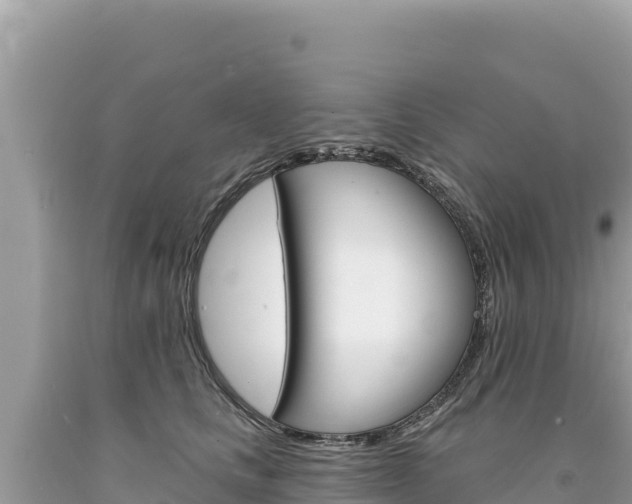 X0000094190661200710260955