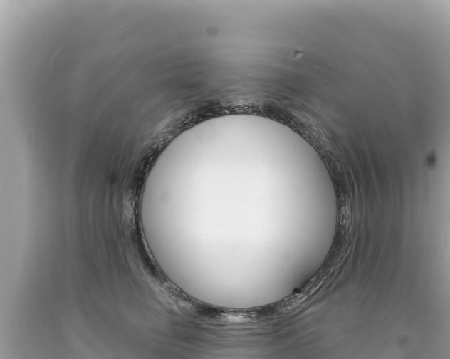 X0000094190662200710260955