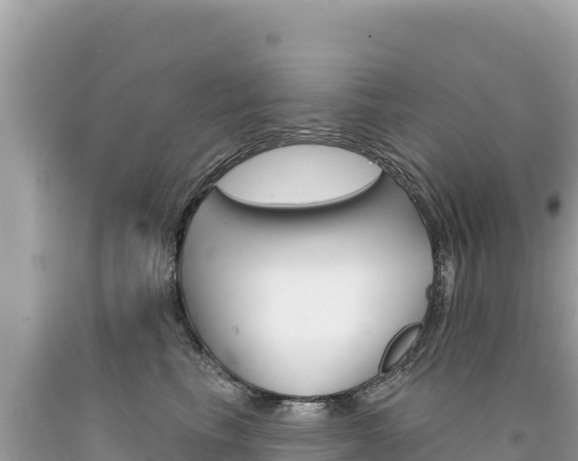 X0000094190665200710260955