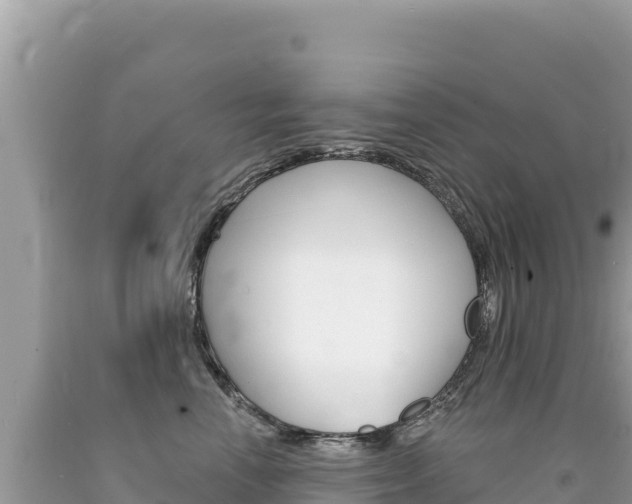 X0000094190666200710260955