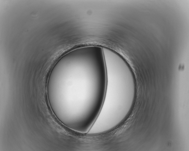 X0000094190673200710260955