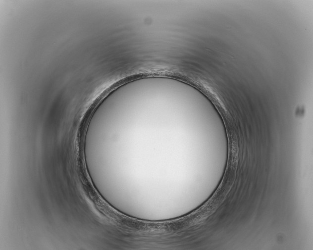 X0000094190674200710260955