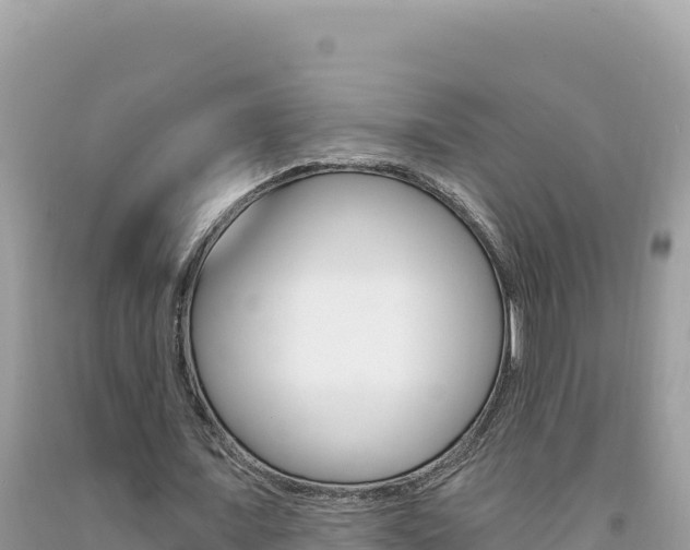 X0000094190675200710260955