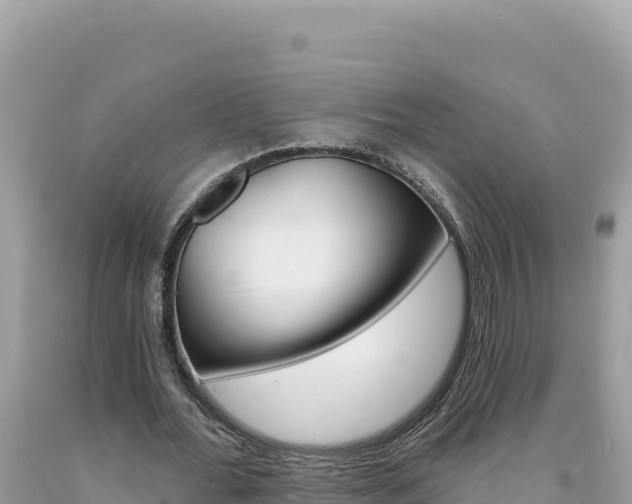 X0000094190676200710260955