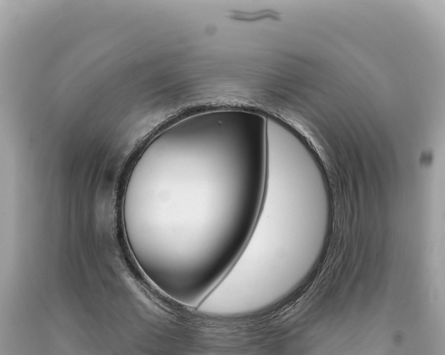 X0000094190677200710260955