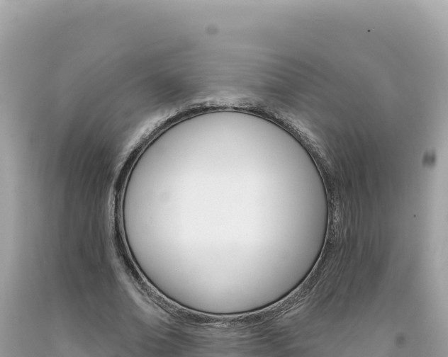 X0000094190678200710260955