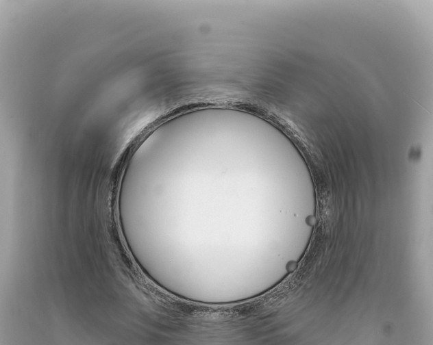 X0000094190679200710260955