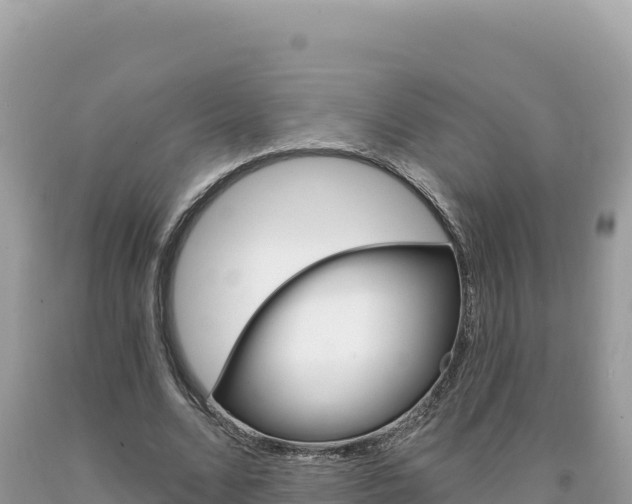 X0000094190680200710260955