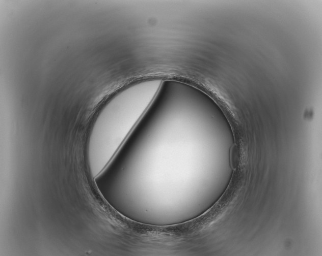 X0000094190681200710260955
