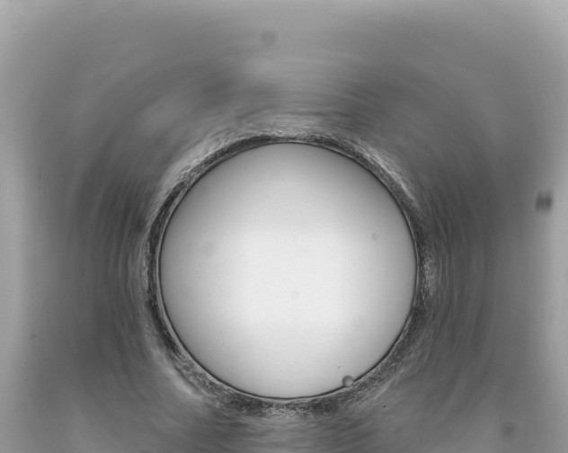 X0000094190682200710260955