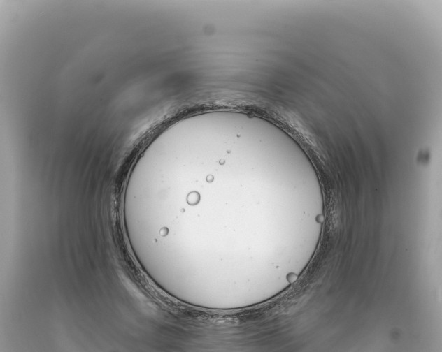 X0000094190683200710260955