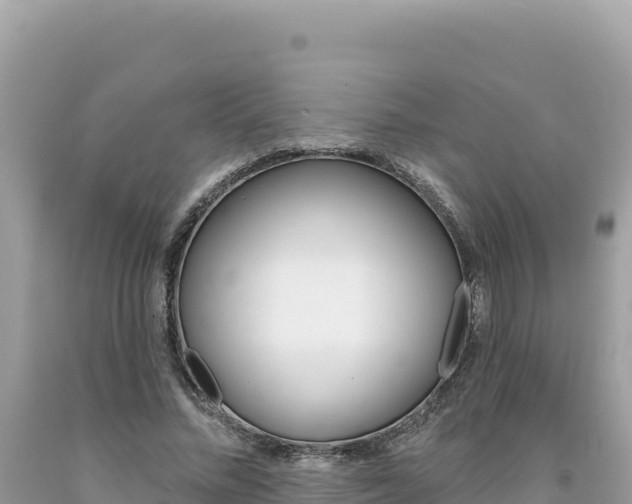 X0000094190684200710260955