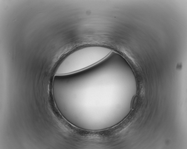X0000094190685200710260955
