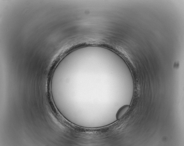 X0000094190686200710260955